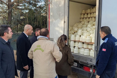 9 ton bozuk peynir imha edildi