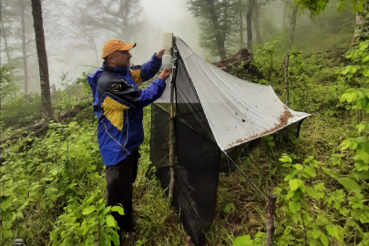 Bursa Uludağ ormanlarındaki arı türlerinin çeşitliliği belirlenecek
