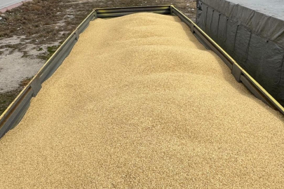 Çalıştığı iş yerinden 250 ton arpa çaldı, "şeytana uydum" dedi