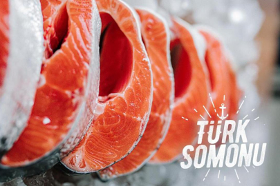 Somon ihracatından 4 milyon dolara yakın gelir