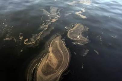 Balıkçılar durmak zorunda kaldı: Marmara'da kabus geri döndü!