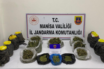 Manisa'da jandarmadan esrar operasyonu