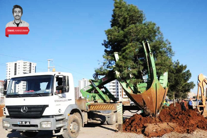 Törenle hizmete girmişti: Bursa Gemlik Belediyesi ihale ile satacak
