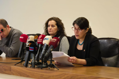 Bursa Veteriner Hekimler Odası'ndan sokak köpekleri açıklaması: İçinden çıkılmaz bir hal alacak