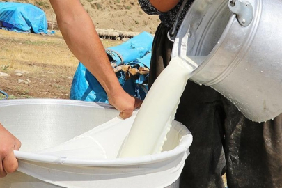 Çiğ süte zam kapıda! Tavsiye fiyatı belli oldu...