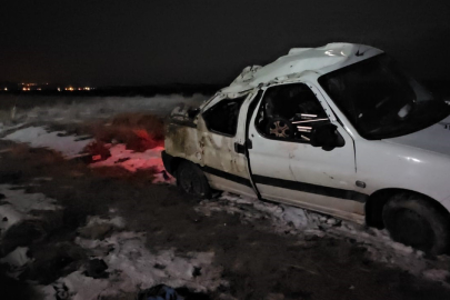 Bitlis'te domuz sürüsüne çarpmamak için manevra yapan kamyonet devrildi: 3 yaralı