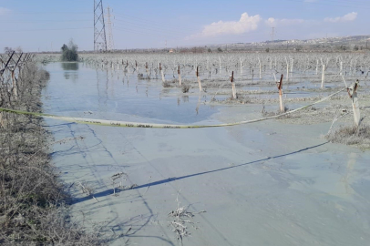 Manisa Alaşehir’de üzüm bağı içinde korkutan patlama