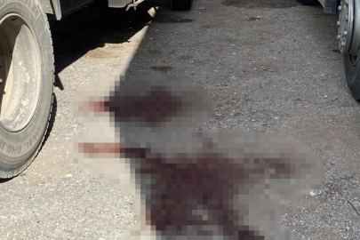 İzmir'de eski sevgilisini ağır yaralayan zanlı tutuklandı