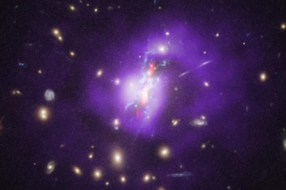 James Webb Teleskobu, Phoenix Kümesindeki yıldız oluşumunu keşfetti