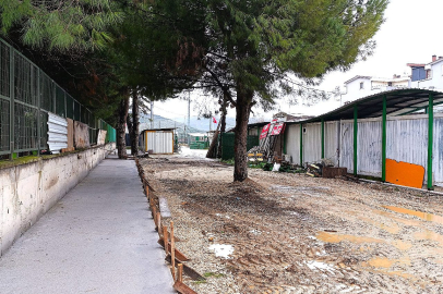 Bursa Gemlik Belediyesi patili dostlara sahip çıkıyor