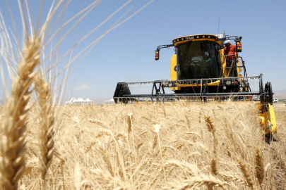 Hububat ürünleri rekoltesinde yağışlar önem taşıyor