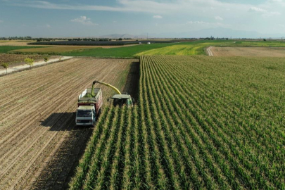 Bakan Yumaklı duyurdu: Çiftçilere destek ödemesinin tarihi belli oldu!