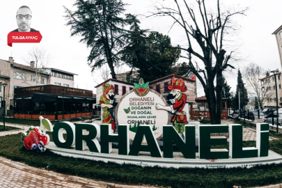 Bursa'nın dağ yöresi hakkında imar kararı! 38 bin metrekare...