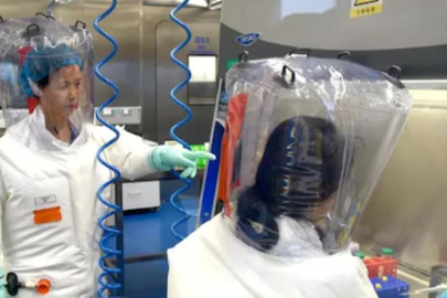 Çin'de bulaşıcı yeni bir yarasa koronavirüsü bulundu!