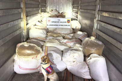 Kırşehir'de 3 ton kıyılmış tütünle yakalanan tır sürücüsü tutuklandı