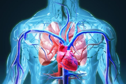 Uzman isim uyardı: Vakalardaki yüksek oran alarm veriyor!