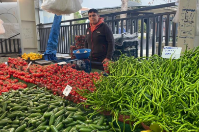 Sebzede artan üretici fiyatları çiftçiye kazandırdı