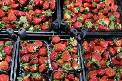 Diyarbakır'da soğuk hava sebze ve meyve fiyatlarını etkiledi