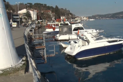 İstanbul Sarıyer'de binlerce denizanası kıyıya vurdu