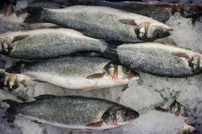 Karadeniz'in su ürünleri ihracatı ocakta 19 milyon doları aştı