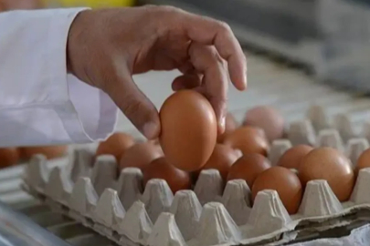 Ramazan’da yumurta fiyatlarına zam gelecek mi?
