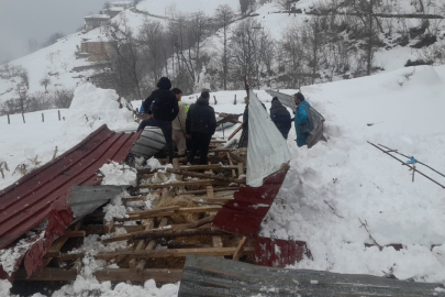 Trabzon'da kar nedeniyle ahırın çatısı çöktü