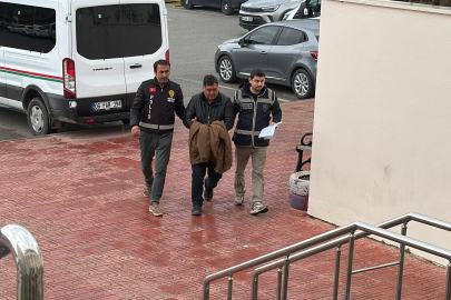 Muğla'da ağaç budarken çıktığı duvardan düşen şahıs hayatını kaybetti