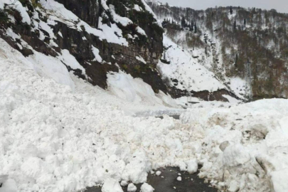 Hindistan'da çığ altında kalan 41 kişi kurtarılmaya çalışılıyor