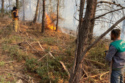 Osmaniye’de çıkan orman yangını söndürüldü