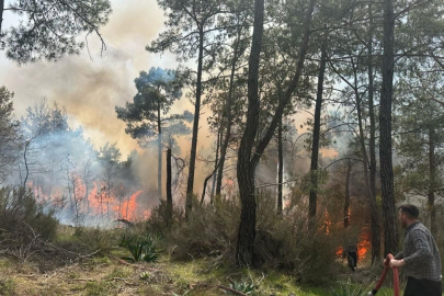 Antalya'da ormanlık alanda yangın