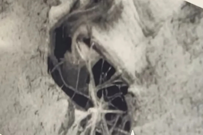 Eski CIA ajanı kanıtlarıyla birlikte açıkladı: Mars'ta bir zamanlar yaşam vardı!