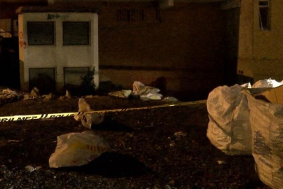 Oyun oynayan çocuklar taşların arasında ölü cenin buldu!