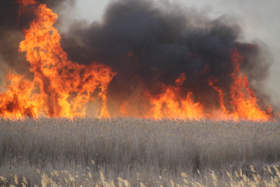 Konya'da Beyşehir Gölü Milli Parkında sazlık alanda yangın