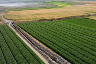 Çiftçilere 3,3 milyar lira destek ödemesi bugün yapılacak