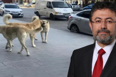 Bakan Yumaklı'dan Rana bebek açıklaması