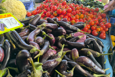 Olumsuz hava şartları patlıcan fiyatlarını yükseltti
