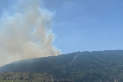 Çanakkale’deki orman yangınında 3 hektar alan zarar gördü