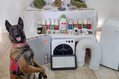 Muğla Ula’da uyuşturucu operasyonu