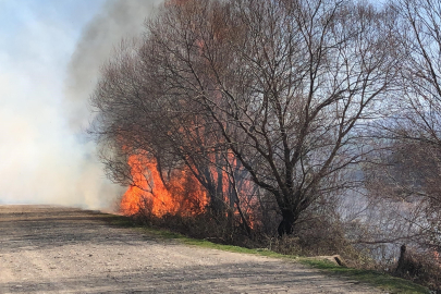 Amasya Taşova’da Yeşilırmak’ın kıyısında yangın çıktı