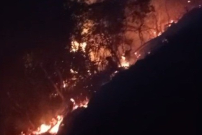 Aydın'da yaz gelmeden orman yangınları başladı