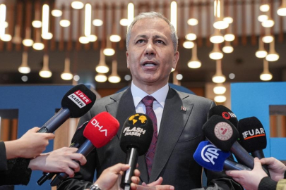 Bakan Yerlikaya'dan sokak köpekleri açıklaması! Bütün iller iki ayda bir denetlenecek...