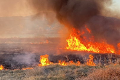Malatya’da onlarca dönümlük alanda korkutan yangın