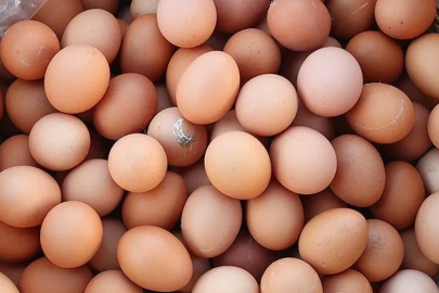 ABD'de yumurta krizi büyüyor!