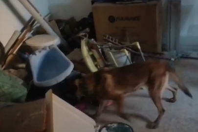 Kastamonu merkezli 3 ilde uyuşturucu operasyonu