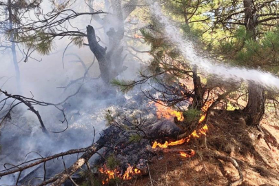 Kütahya Hisarcık'ta orman yangını