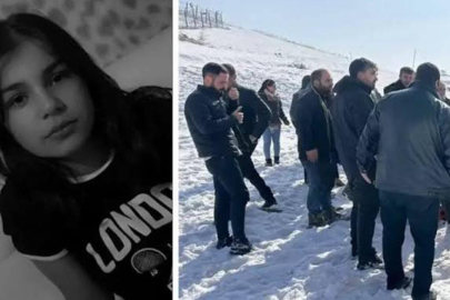 Yüksekova Belediyesi'ne 'başıboş köpek soruşturması'