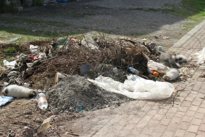 Antalya'da artan kedi ölümleri sonrası harekete geçildi!