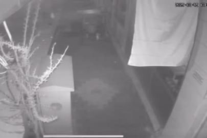 İzmir'de şehitleri anma gününde Türk bayrağına çirkin saldırı