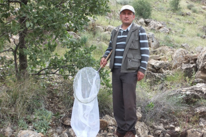 Arazi çalışmaları sırasında keşfettiği böceğe "Emine" ismini verdi