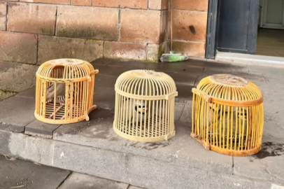 Bitlis'te kınalı keklik avına 64 bin 855 TL para cezası